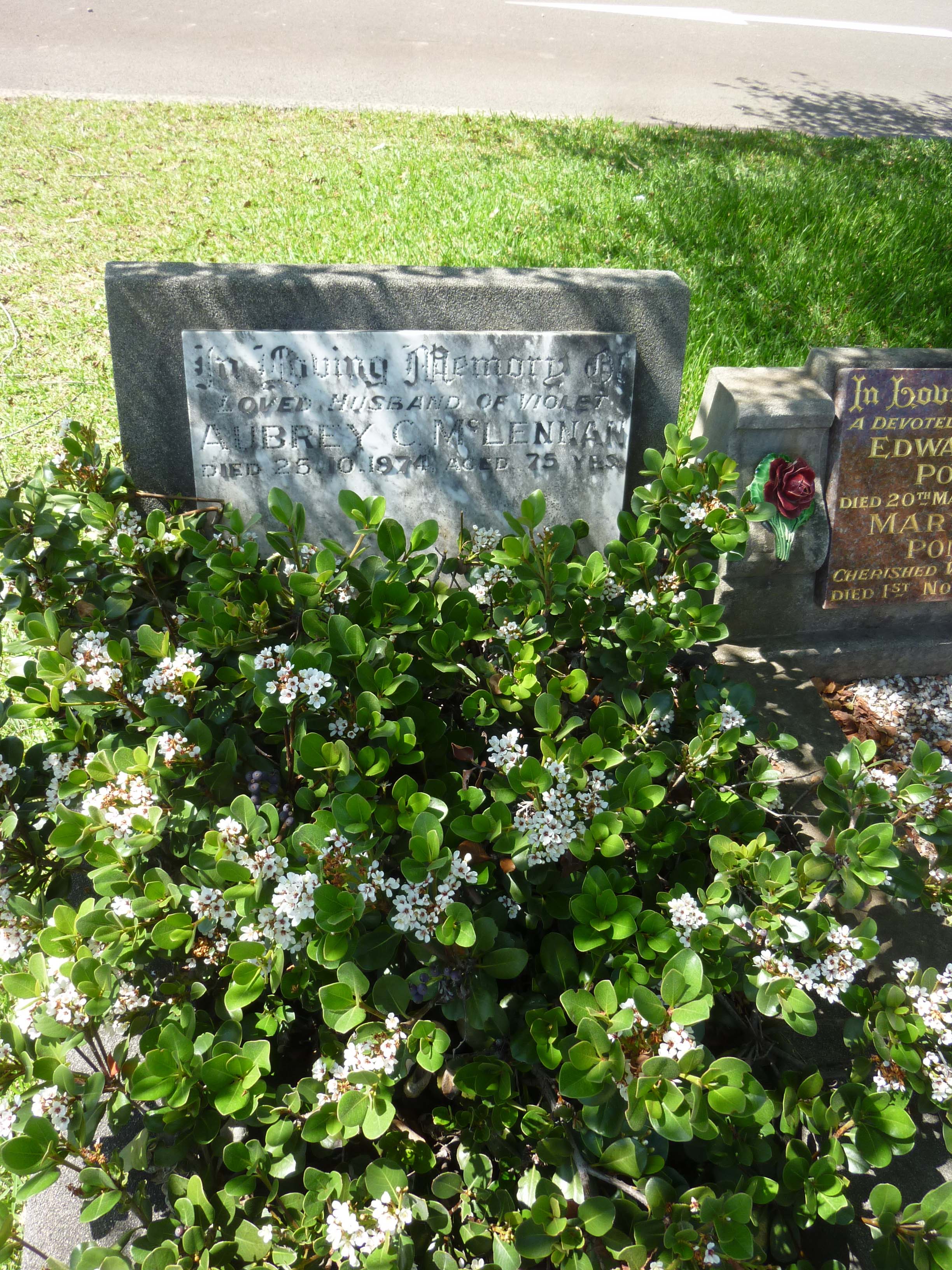 Photo of headstones/Aubrey C McLennan d1974 Woronora cem